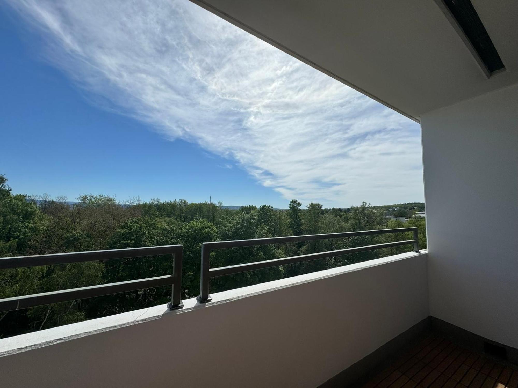 1 Zimmer Wohnung Mit Balkon Und Kueche Байройт Екстериор снимка